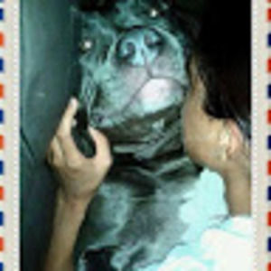 Meet your Posher, Cassandra